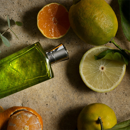 The Merchant Of Venice Nobilhomo Colonia Veneziana Eau De Parfum