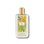 Fragonard Belle De Grasse Eau De Toilette