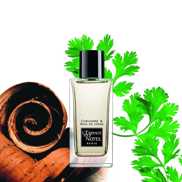 l'essence des notes coriandre & bois de cedre