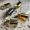 Scentence 360 Parfum