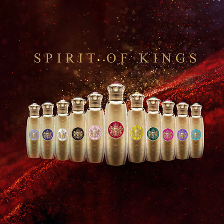 Spirit Of King Discovery Set